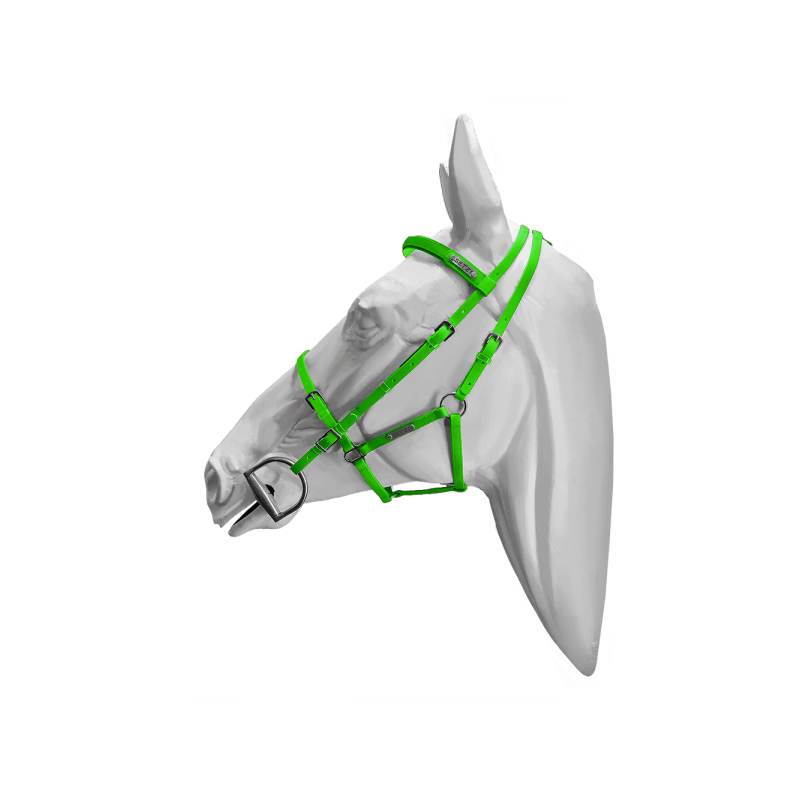 637-637_66ab8bce14c082.92631924_bridles_beta_greengn528_1000x1000_large.png