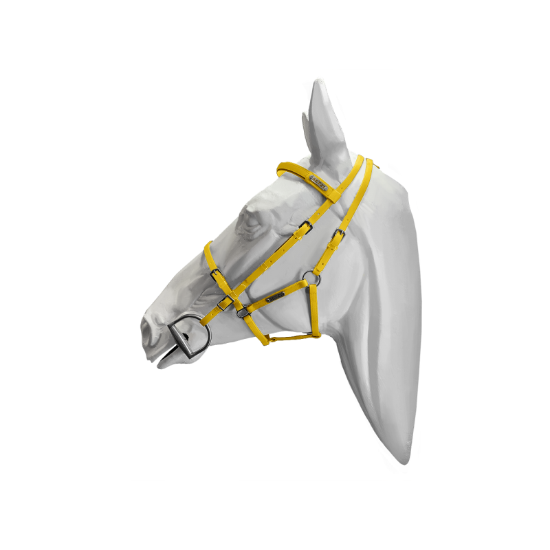 637-637_66ab8bf27a2e61.54696408_bridles_beta_yellowye521_1000x1000_large.png