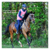 6270-6270_67dac489cc7627.44566409_equitime-endurance-saddle-model-maja.jpg-2_large.png