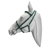 637-637_66ab8bc6dec168.43373114_bridles_beta_greengn522_1000x1000_large.png